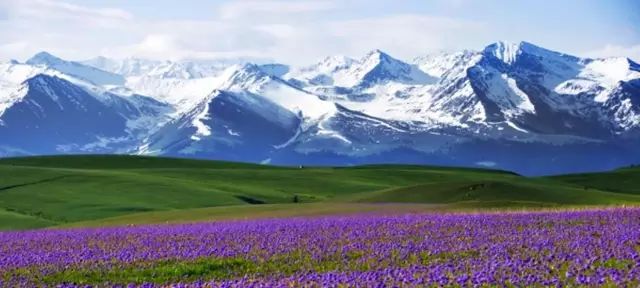 梦想之翼下，新疆奋斗交响曲